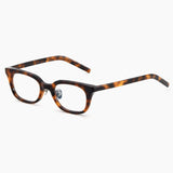 Lo-Fi Optical | Tortoise