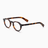 Lola | Tortoise