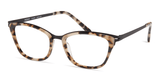 Modo 4529 | Tortoise