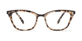 Modo 4529 | Tortoise