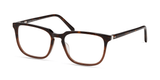 Modo 6543 | Tortoise To Brown