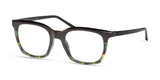 Modo 7047 | Green Tortoise