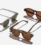 Aren - Kola Tortoise Polarized 50