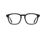Copley | AGAVE TORTOISE - CLEAR