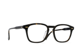 Copley | AGAVE TORTOISE - CLEAR