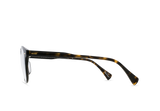 Copley | AGAVE TORTOISE - CLEAR