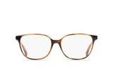 Tomie - Pecan Tortoise 52