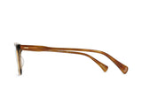 Tomie - Pecan Tortoise 52