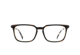 WILT | STOUT BRINDLE TORTOISE - CLEAR