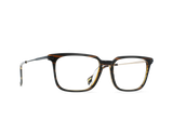 WILT | STOUT BRINDLE TORTOISE - CLEAR