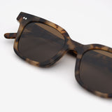 Hi-Fi | Tortoise / Brown