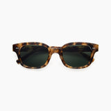 Atlas | Tortoise / Pine