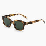 Atlas | Tortoise / Pine