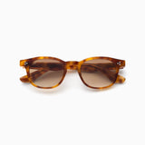 Atria | Butterscotch Tortoise / Sepia Gradient