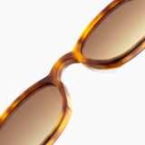 Atria | Butterscotch Tortoise / Sepia Gradient