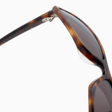 Jet | Hazel Tortoise / Raisin