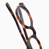 Lola | Tortoise