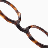 Lola | Tortoise